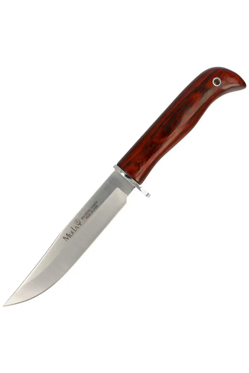 Nóż Muela Gredos Coral Wood, Satin X50CrMoV15 (GRED-13R)
