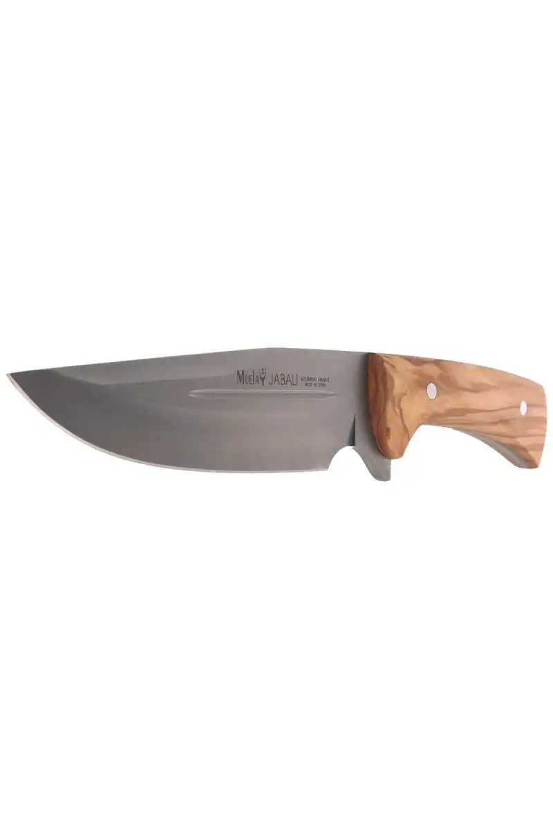 Nóż Muela Full Tang Olive Wood, Satin X50CrMoV15 (JABALI-17OL)