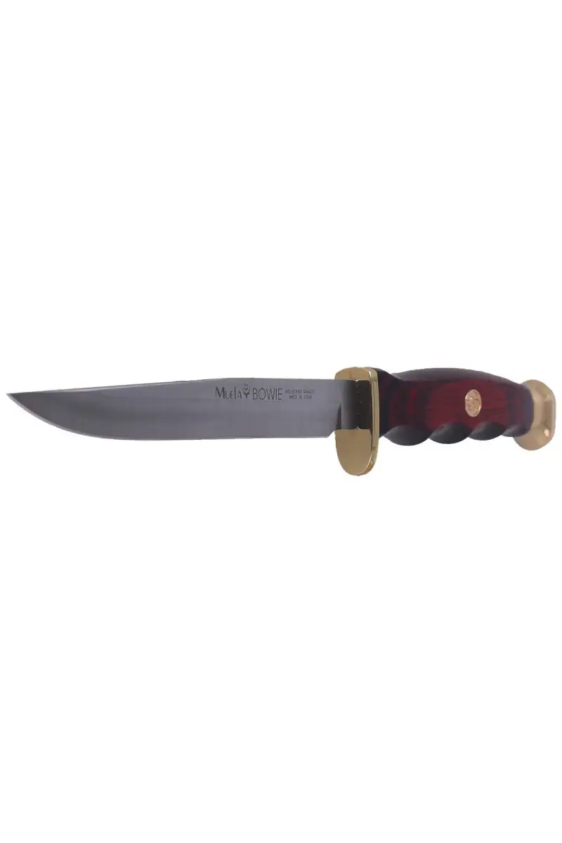 Nóż Muela BWF-14 Pakka Wood, Stain X50CrMoV15