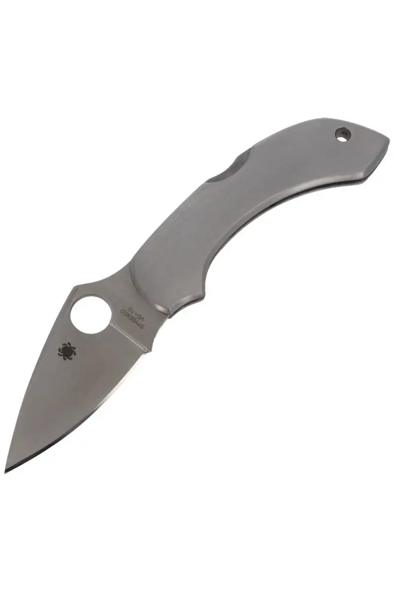Nóż Spyderco Dragonfly Stainless Steel Plain (C28P)