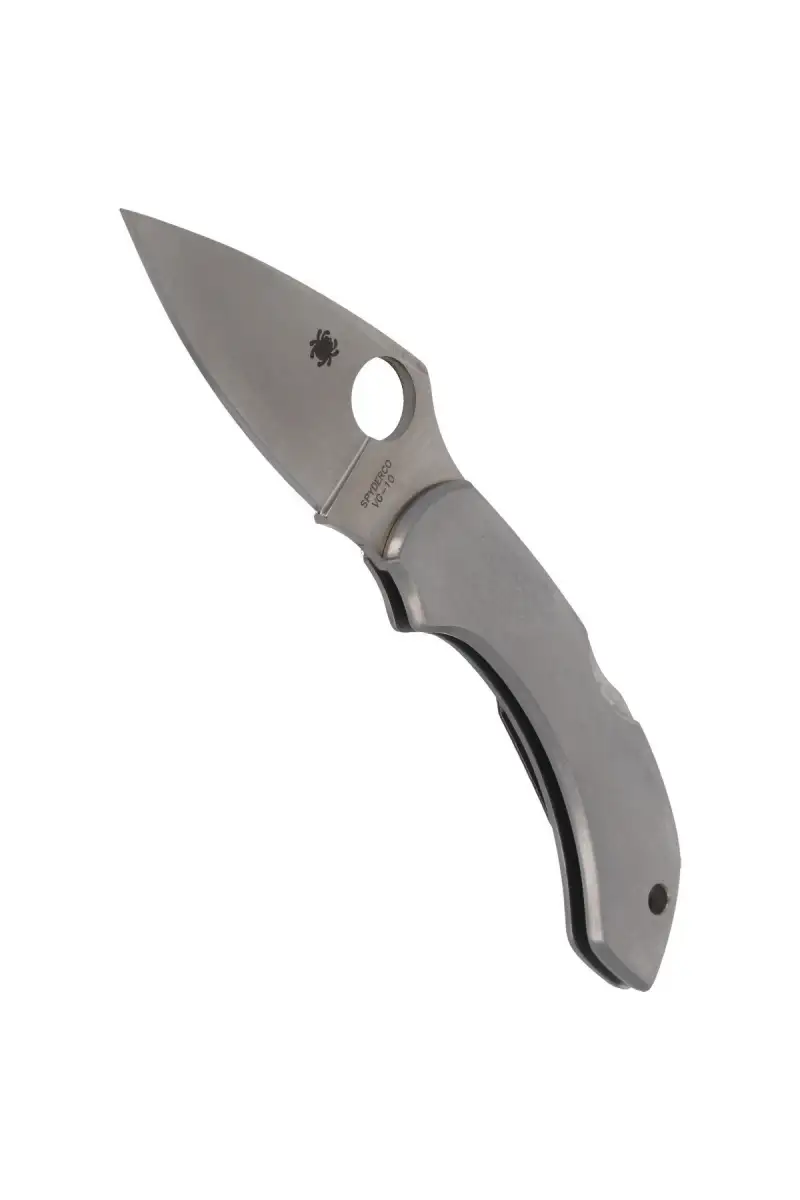 Nóż Spyderco Dragonfly Stainless Steel Plain (C28P)