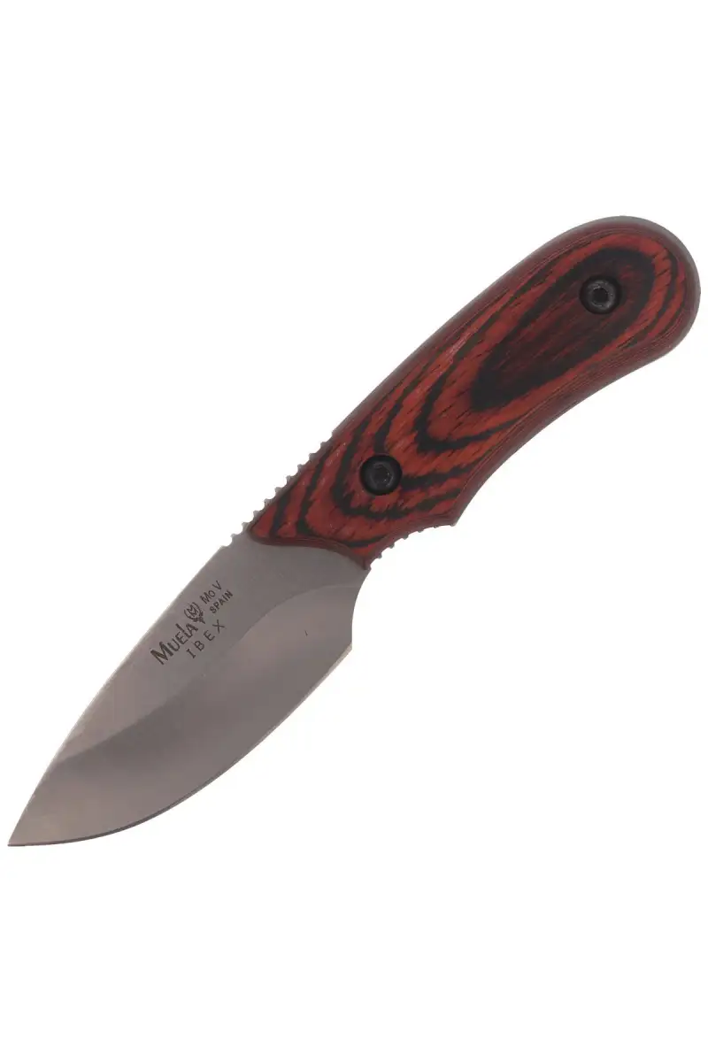 Nóż Muela Full Tang Pakkawood, Satin X50CrMoV15 (IBEX-8R)
