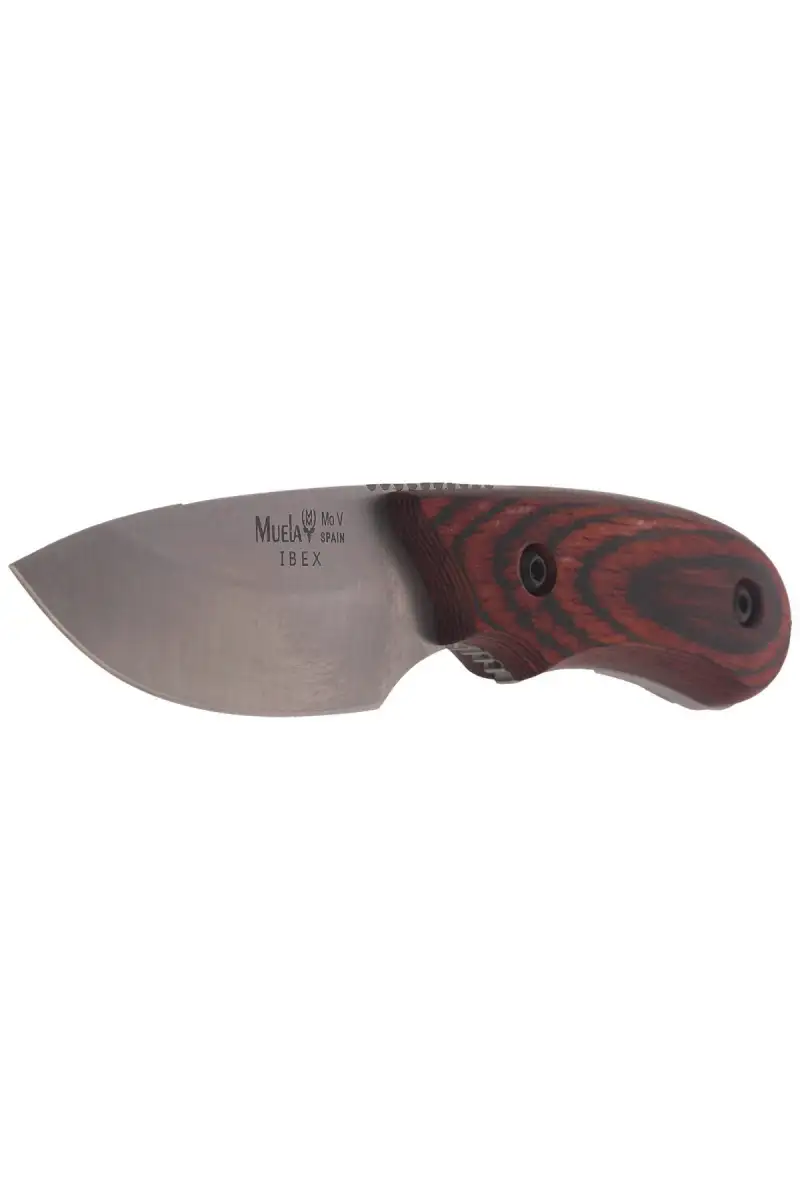 Nóż Muela Full Tang Pakkawood, Satin X50CrMoV15 (IBEX-8R)