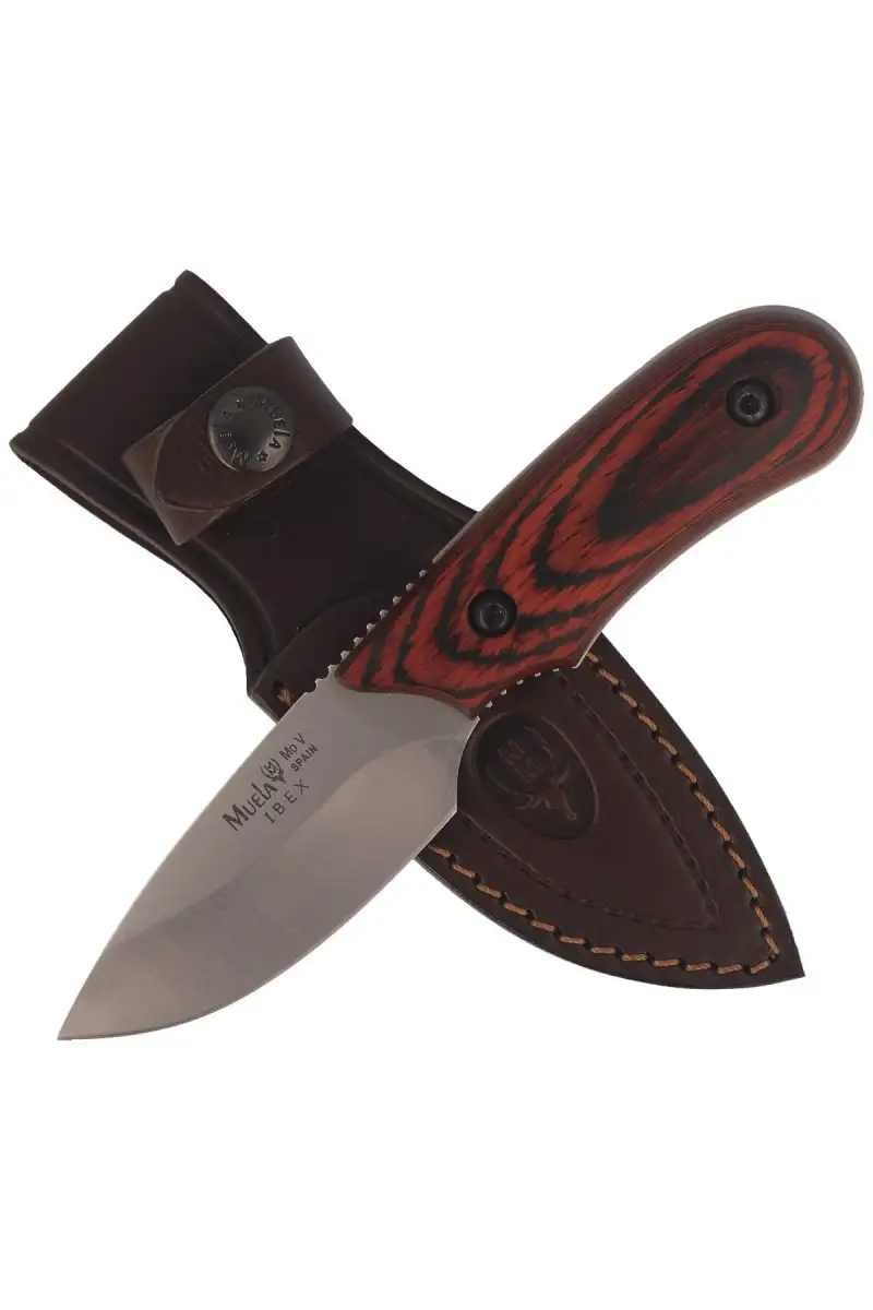Nóż Muela Full Tang Pakkawood, Satin X50CrMoV15 (IBEX-8R)