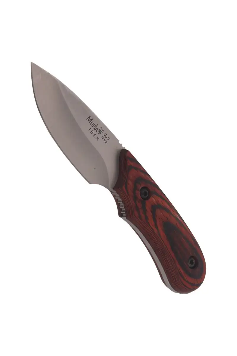 Nóż Muela Full Tang Pakkawood, Satin X50CrMoV15 (IBEX-8R)