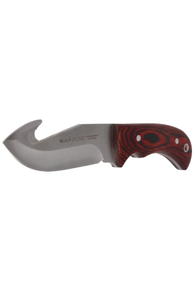 Nóż Muela Bisonte-11R Pakka Wood, Satin X50CrMoV15