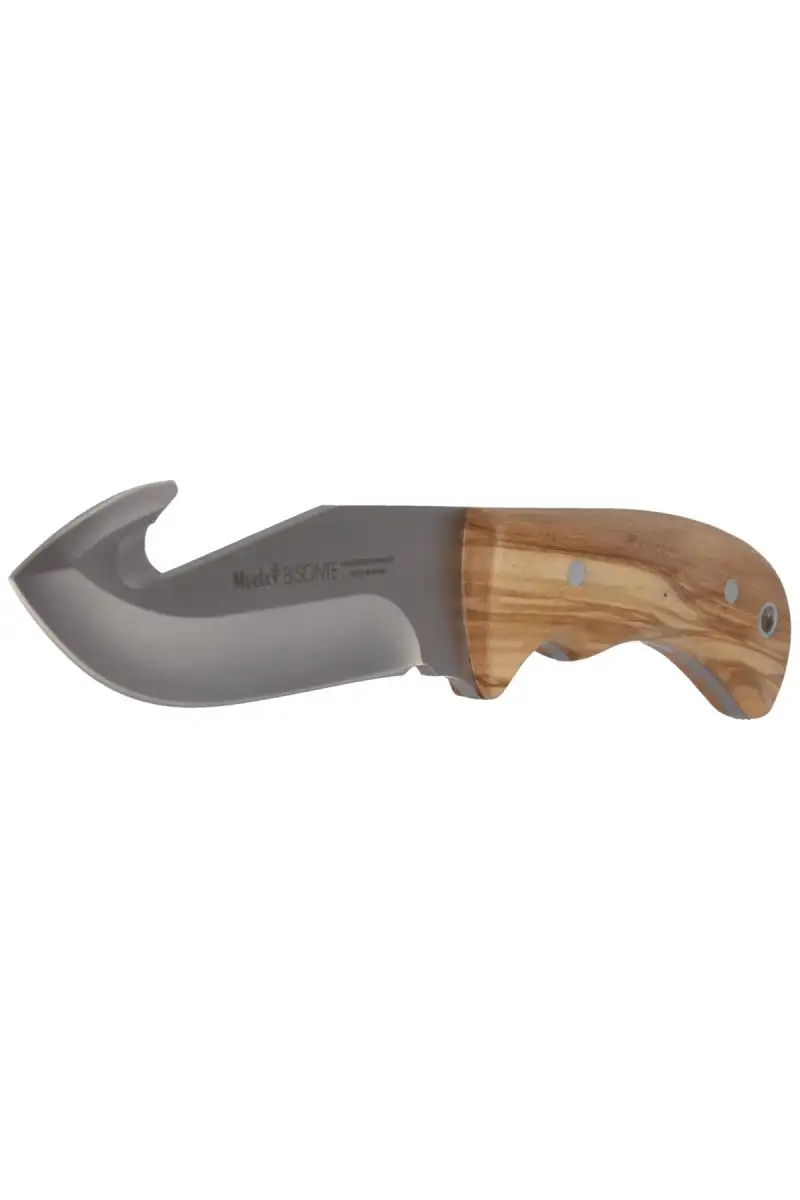 Nóż Muela Bisonte-11.OL Olive Wood, Satin X50CrMoV15
