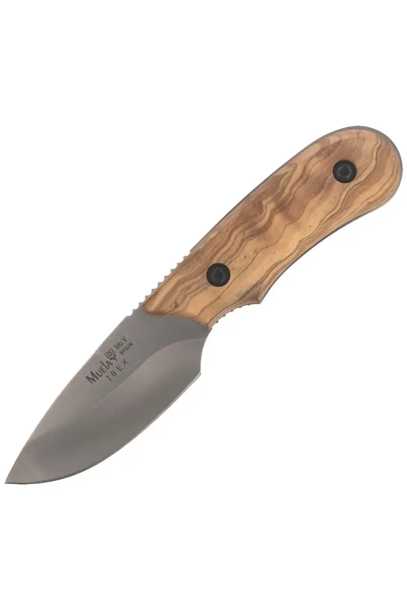 Nóż Muela Full Tang Olive Wood, Satin X50CrMoV15 (IBEX-8.OL)