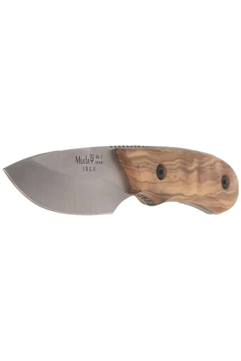 Nóż Muela Full Tang Olive Wood, Satin X50CrMoV15 (IBEX-8.OL)