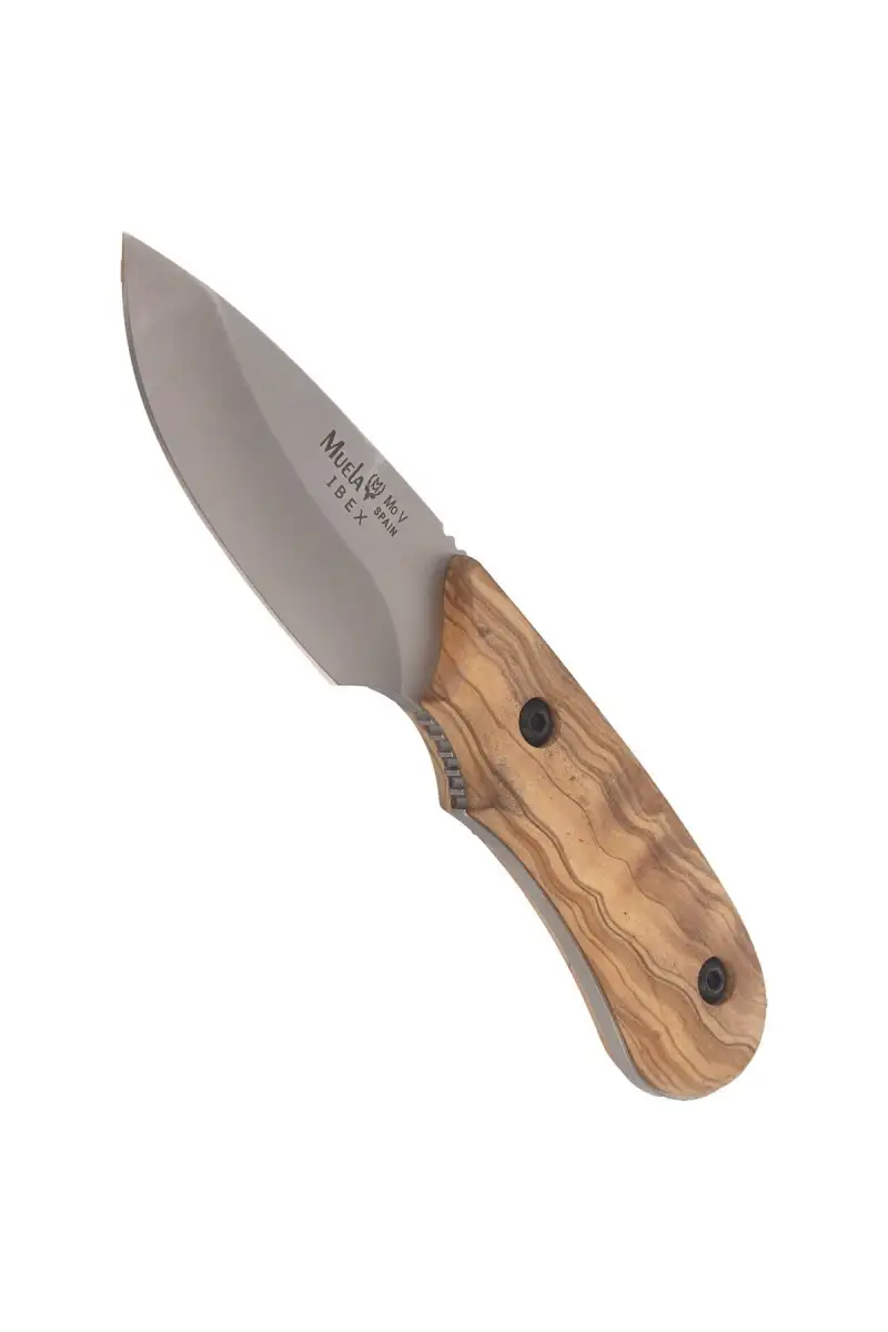 Nóż Muela Full Tang Olive Wood, Satin X50CrMoV15 (IBEX-8.OL)