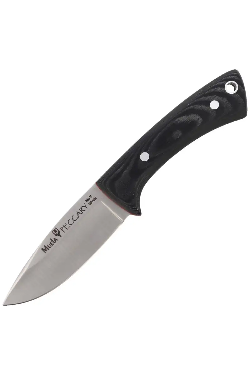 Nóż na szyję Muela Peccary-8M Neck Knife Black Micarta, Satin X50CrMoV15