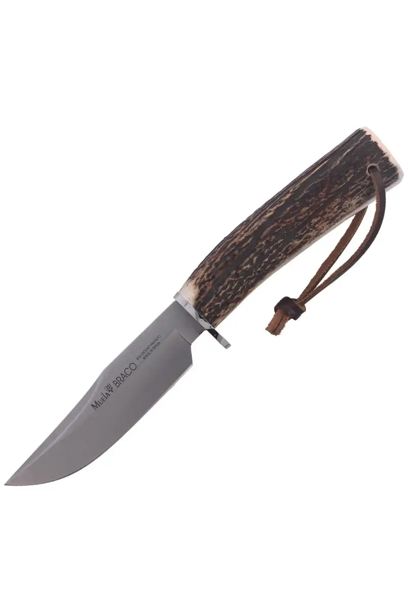 Nóż Muela Braco-11A Deer Stag, Satin X50CrMoV15
