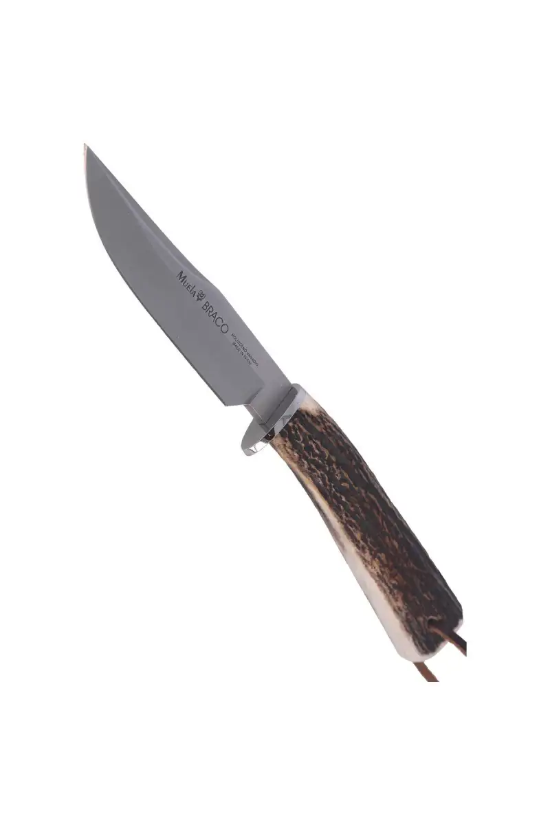 Nóż Muela Braco-11A Deer Stag, Satin X50CrMoV15