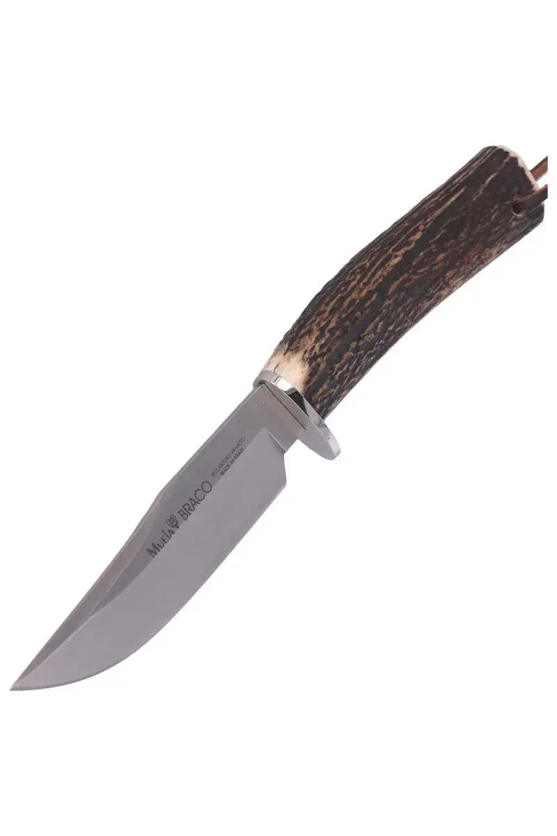 Nóż Muela Braco-11A Deer Stag, Satin X50CrMoV15