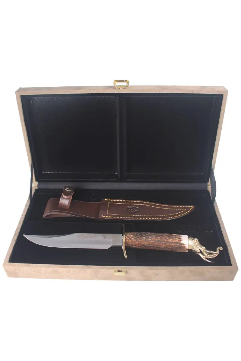 Nóż Muela Big Five Deer Stag, Satin 1.4116 Gift Box (ELEPHANT-16BF)