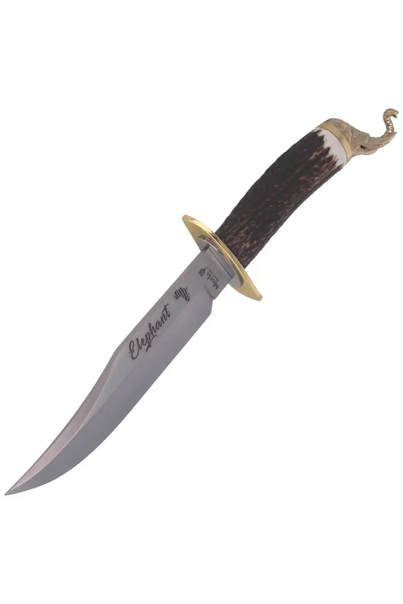 Nóż Muela Big Five Deer Stag, Satin 1.4116 Gift Box (ELEPHANT-16BF)