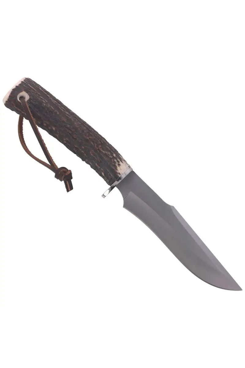 Nóż Muela Deer Stag, Satin X50CrMoV15 (POINTER-13A)