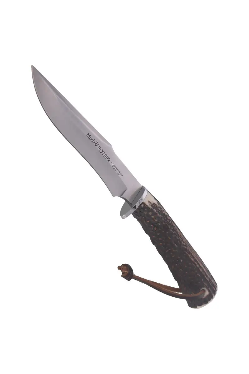 Nóż Muela Deer Stag, Satin X50CrMoV15 (POINTER-13A)
