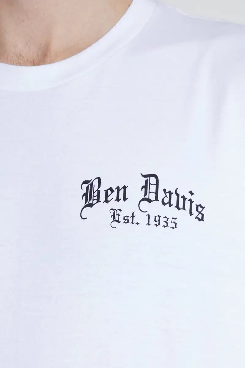 Koszulka Ben Davis Paisley White