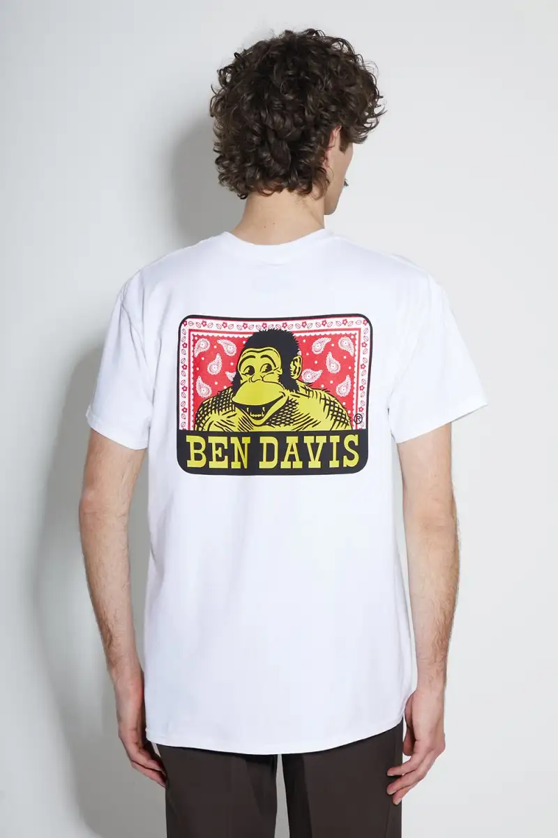 Koszulka Ben Davis Paisley White