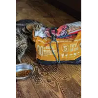 Elastyczny Pas Montażowy Z Klamrą Nite Ize CamJam