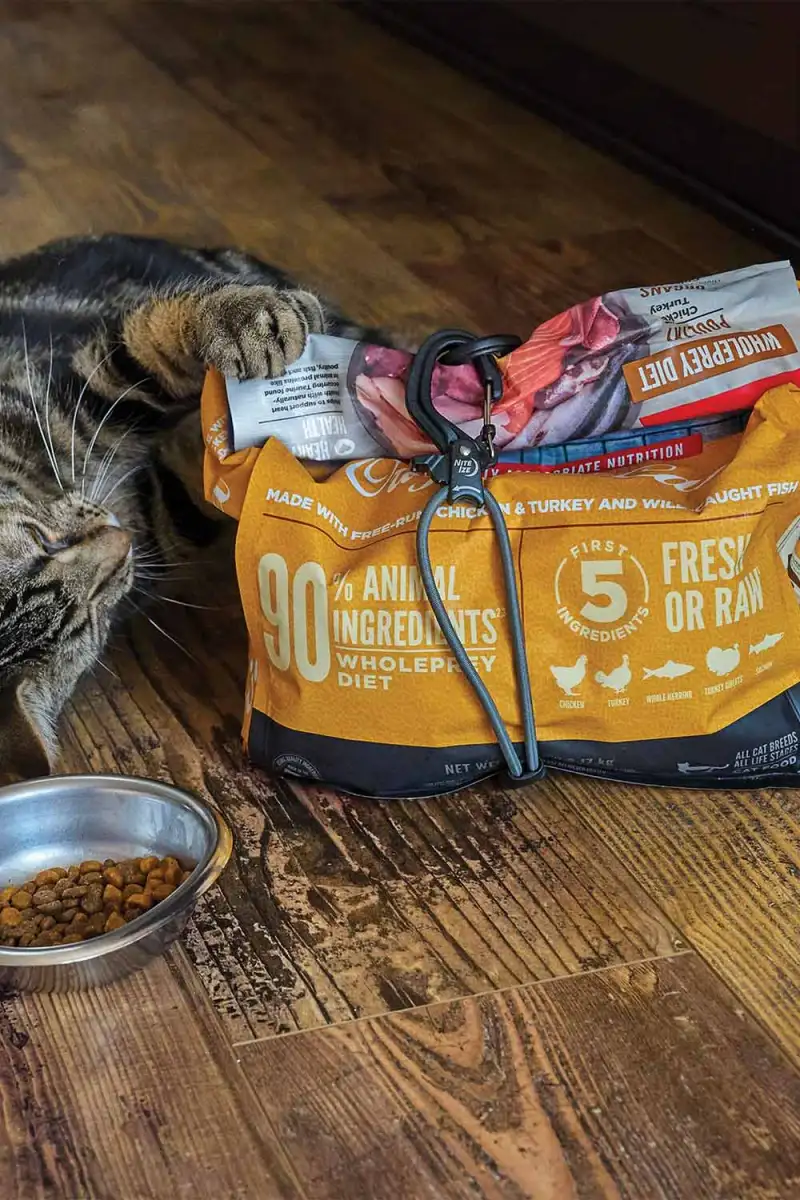 Elastyczny Pas Montażowy Z Klamrą Nite Ize CamJam