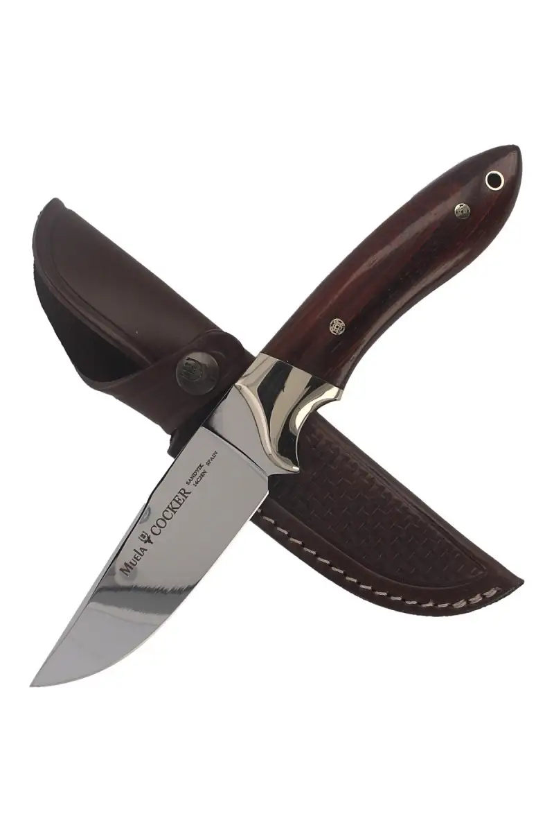 Nóż Muela Full Tang Cocobolo Wood, Mirror 14C28N (COCKER-11CO)
