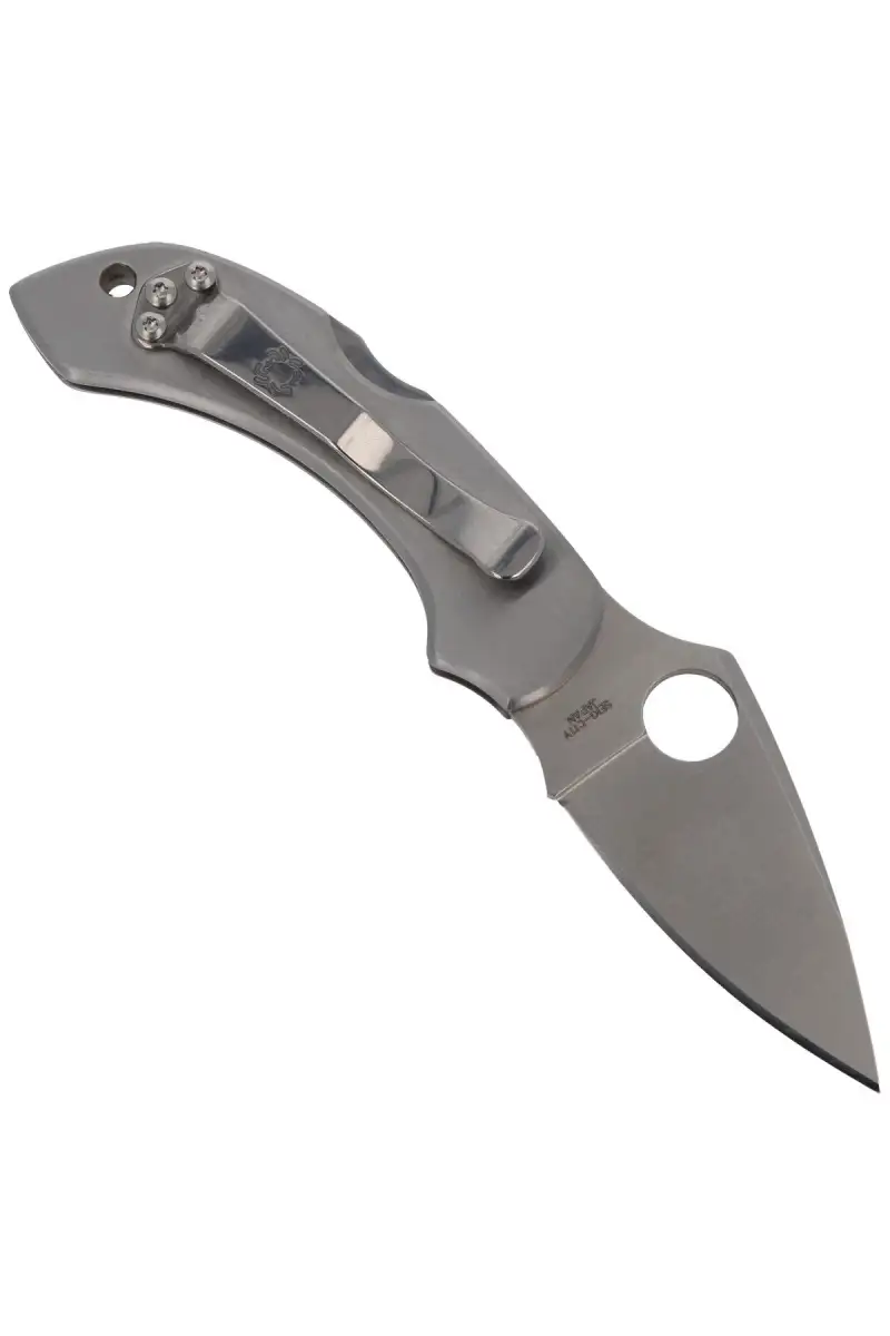 Nóż składany Spyderco Dragonfly Stainless Plain (C28P)