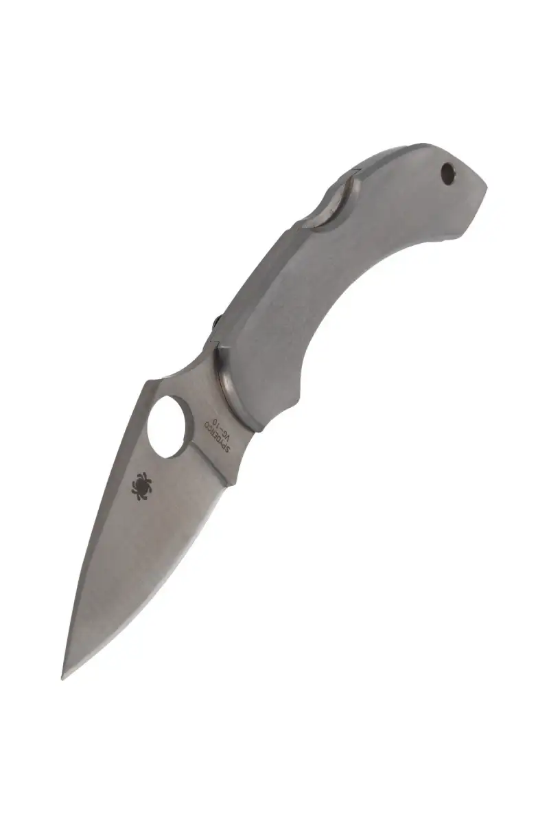 Nóż składany Spyderco Dragonfly Stainless Plain (C28P)