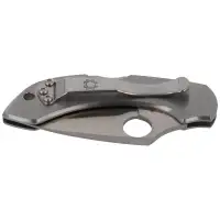 Nóż składany Spyderco Dragonfly Stainless Plain (C28P)