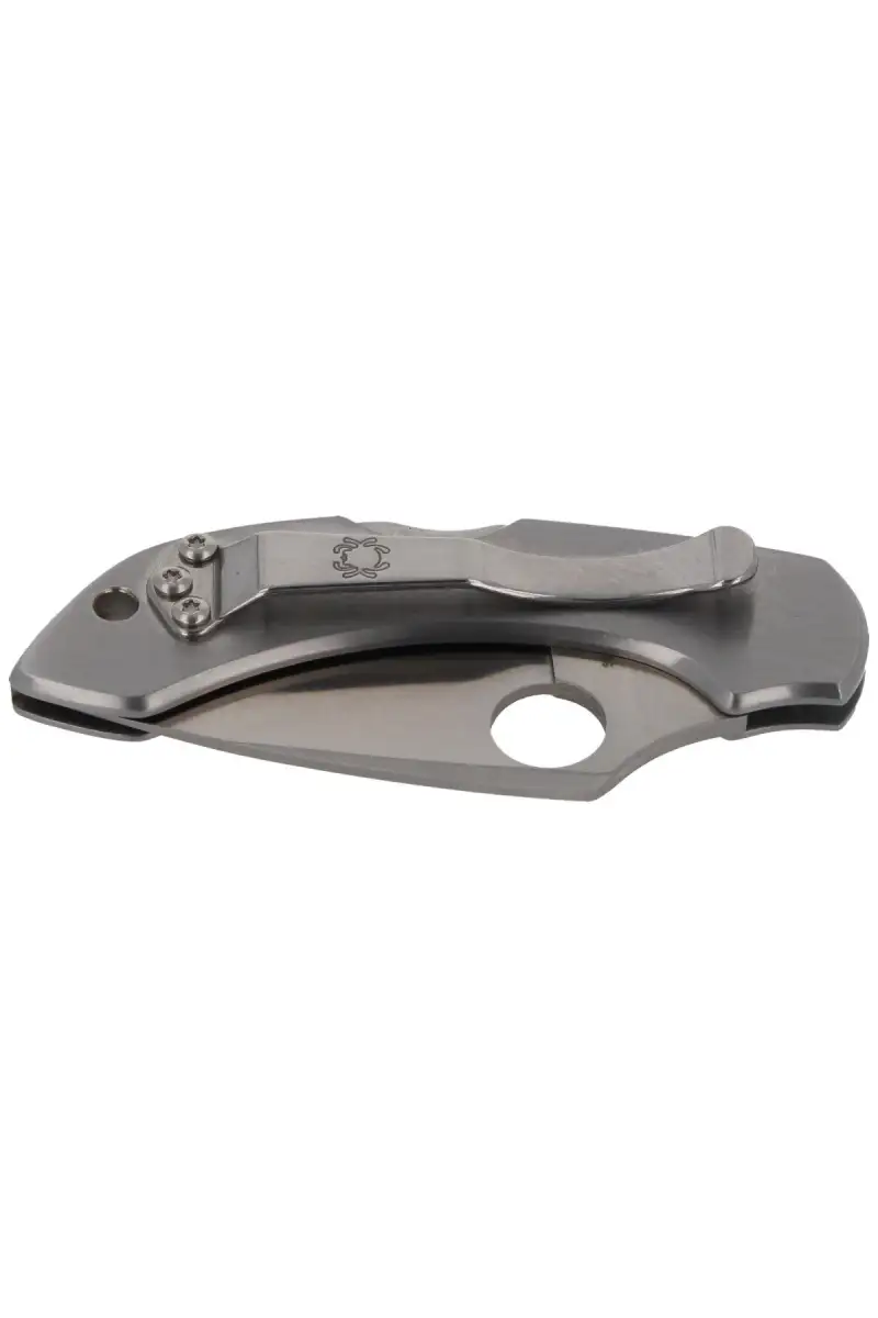 Nóż składany Spyderco Dragonfly Stainless Plain (C28P)