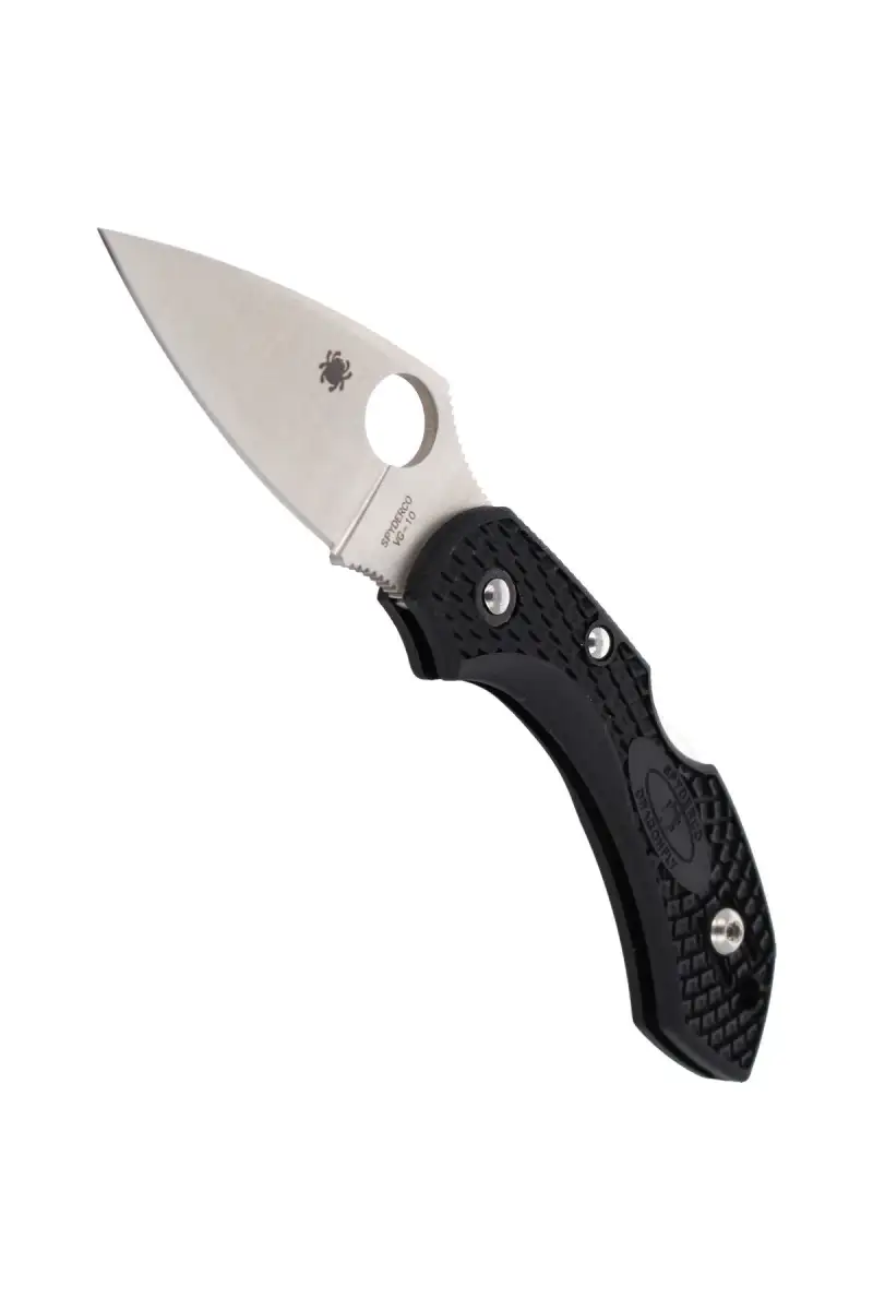 Nóż składany Spyderco DragonFly 2 FRN Black Plain (C28PBK2)