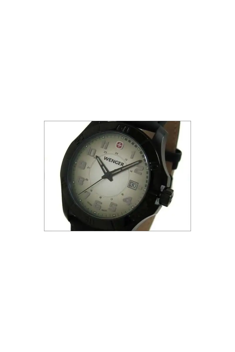 Zegarek Wenger Swiss Military - Alpine 70474.