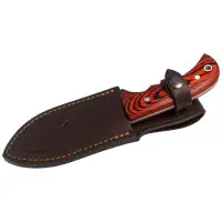 Nóż Muela Skinner Pakkawood, Satin X50CrMoV15 (BISONTE-11R)