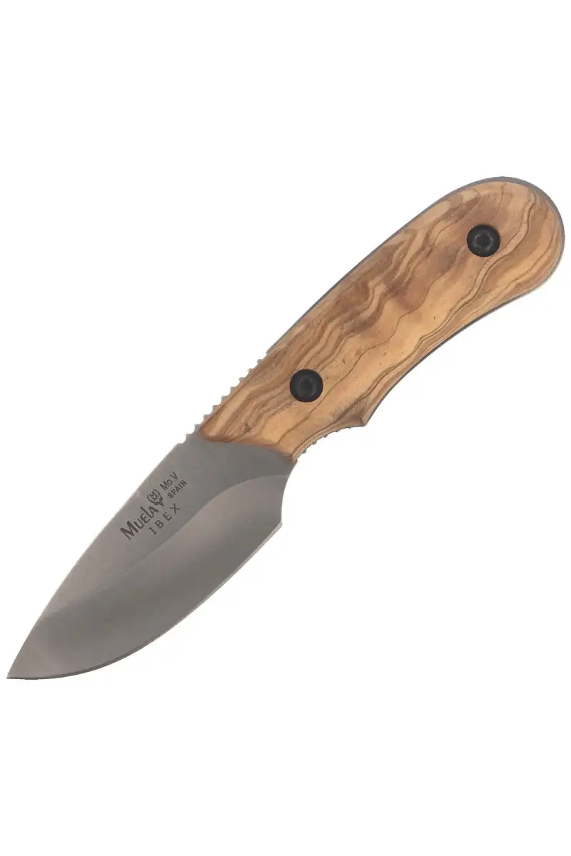 Nóż Muela Full Tang Olive Wood, Satin X50CrMoV15 (IBEX-8.OL)