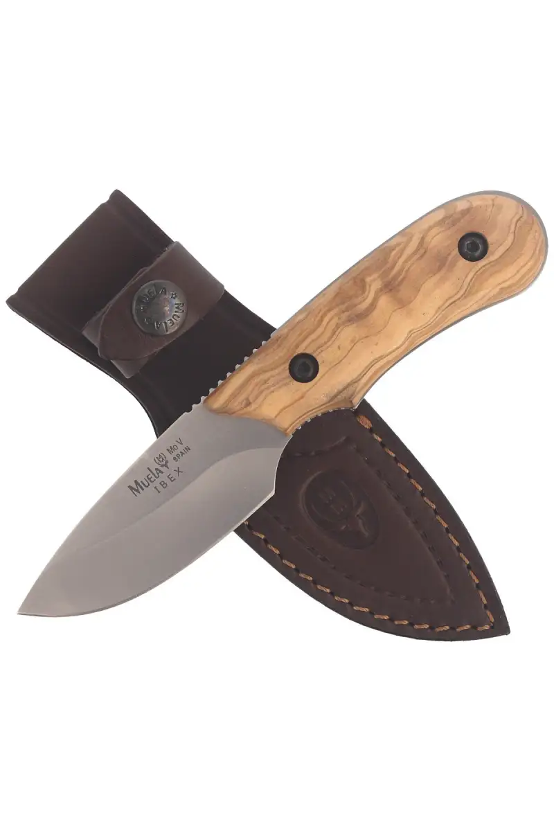 Nóż Muela Full Tang Olive Wood, Satin X50CrMoV15 (IBEX-8.OL)