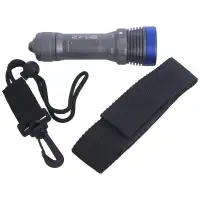 Latarka LED EDI-T wodoodporna 300lm (LM D34N300-R)