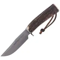 Nóż Muela Bowie Deer Stag, Satin X50CrMoV15 (BRACO-11A)