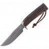 Nóż Muela Bowie Deer Stag, Satin X50CrMoV15 (BRACO-11A)