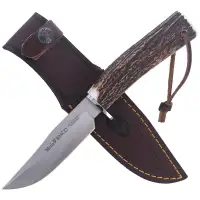 Nóż Muela Bowie Deer Stag, Satin X50CrMoV15 (BRACO-11A)