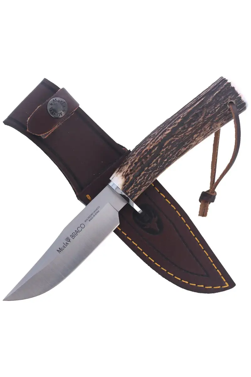 Nóż Muela Bowie Deer Stag, Satin X50CrMoV15 (BRACO-11A)