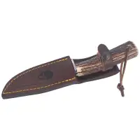 Nóż Muela Bowie Deer Stag, Satin X50CrMoV15 (BRACO-11A)