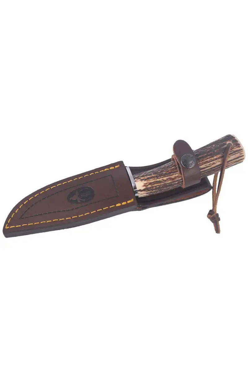 Nóż Muela Bowie Deer Stag, Satin X50CrMoV15 (BRACO-11A)