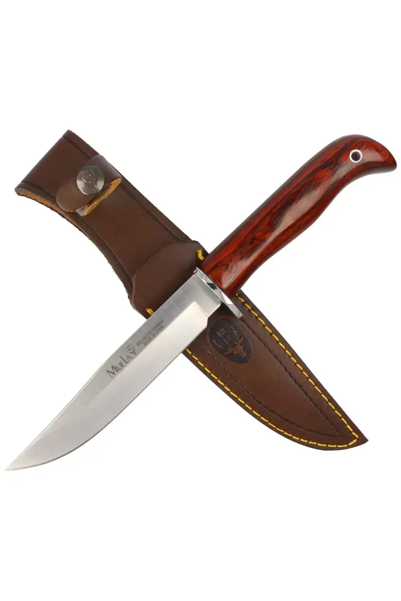 Nóż Muela Gredos Coral Wood, Satin X50CrMoV15 (GRED-13R)