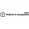 Pentagon